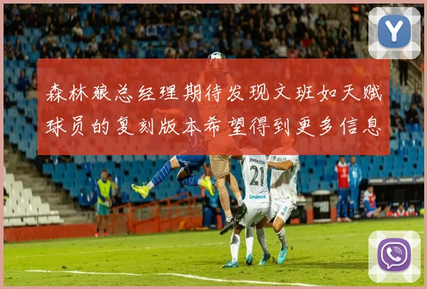 森林狼总经理期待发现文班如天赋球员的复刻版本希望得到更多信息